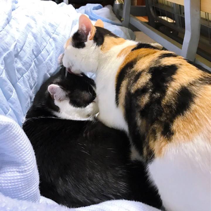 F244369c 6bf3 4244 8b16 49dbf6574da0