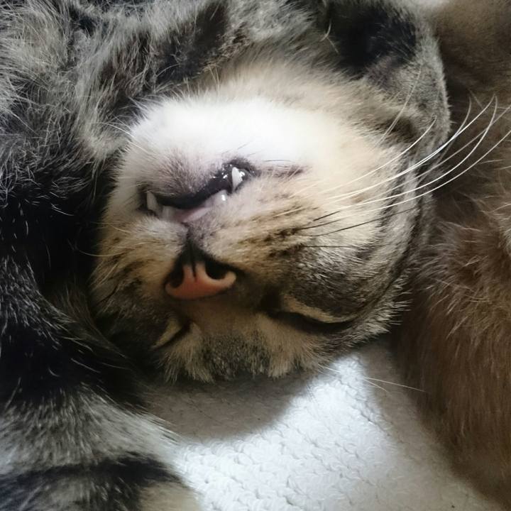 F2444876 43ef 4313 b2d7 e5c7c453b06b