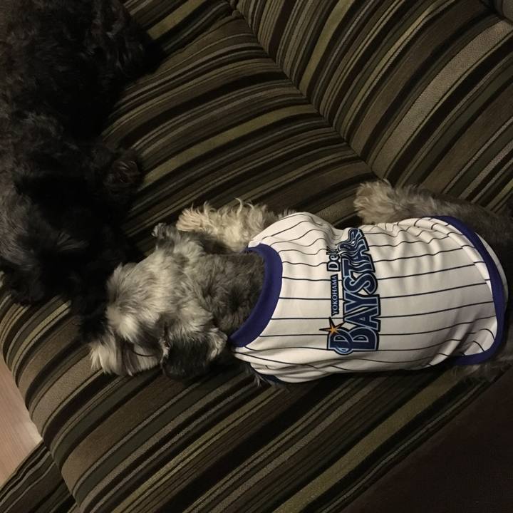 F245a069 205b 4ee2 93dc f39fa3c6c93b