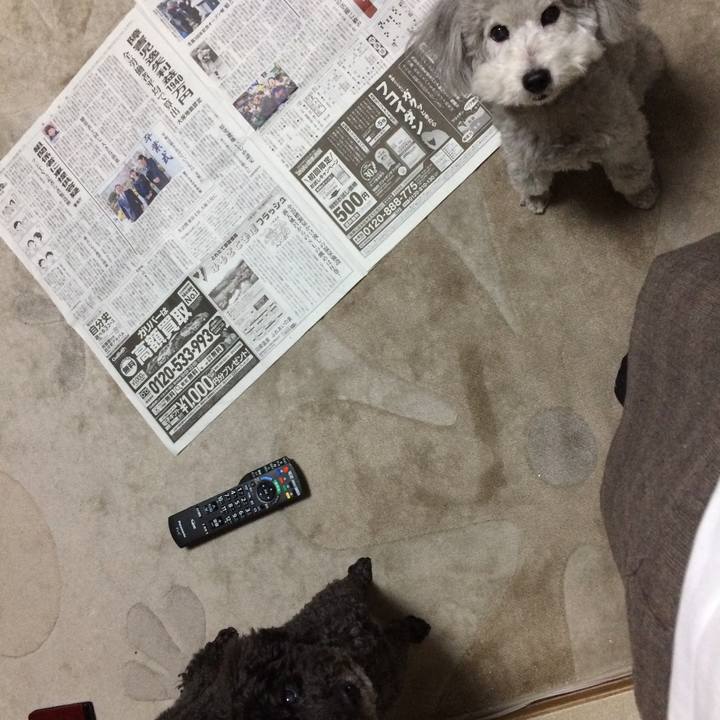 F245b43e 4036 4691 82a0 1b71712058a3