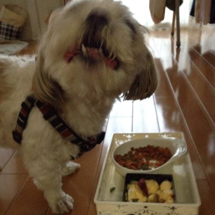 F245f112 1d1c 4061 a66f 8a0eb4fccedf