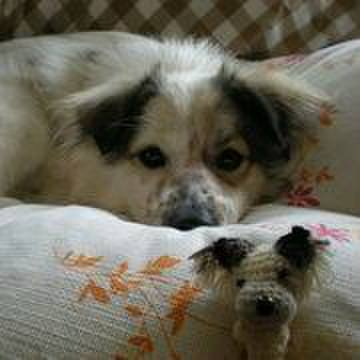 F24632e3 3e29 4abe af31 af055f6735e6