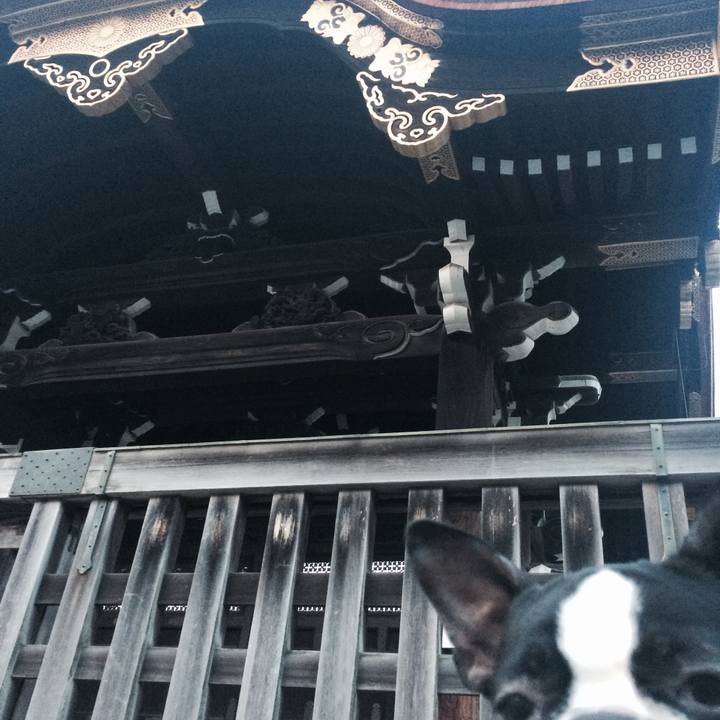 F2463be6 a670 4012 9bf3 90a0419d83bf