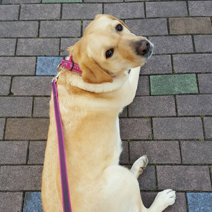 F2466fd7 e14d 44b5 8f2a 0c3a9dc3f945