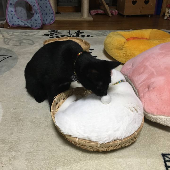 F246830e 1f80 4c96 bb8f 0f3f3eebb8d8