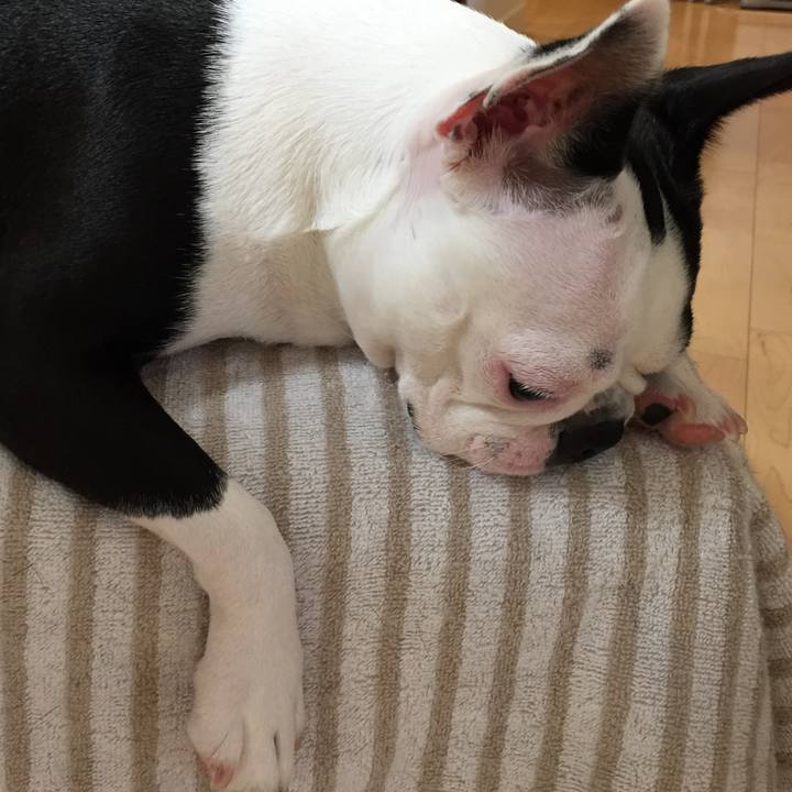 F246afb9 b16a 45b3 8108 73fa813489c4