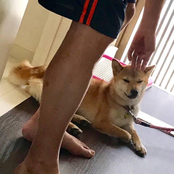 F246eec1 b052 481a ae8a e1898355c763