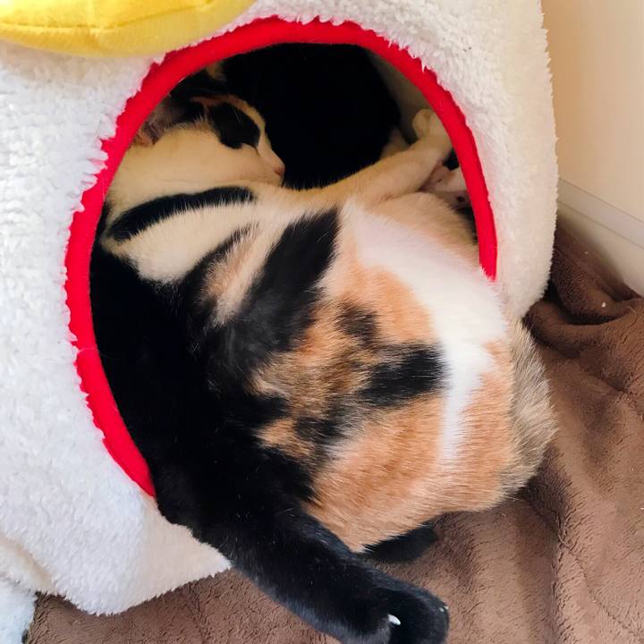 F2470fa6 b455 4267 8e4d a00d41797883