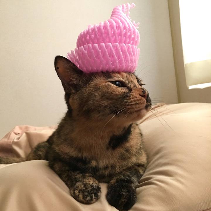 F2475766 1be7 4a99 89a9 35c7ea612835