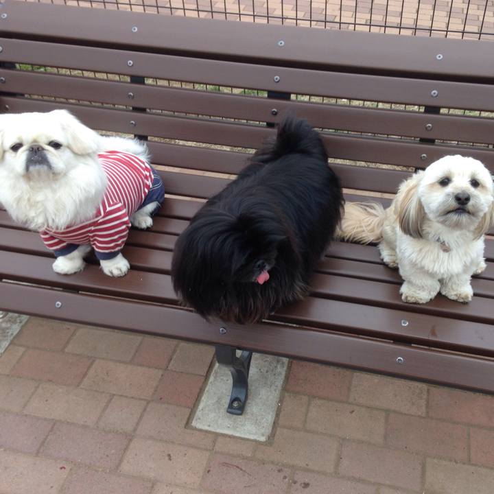 F247e18f 2882 46cc 8d09 fc312efa8c96