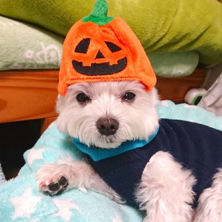 F24864ed 7c61 4f2c a38d 544628597a81