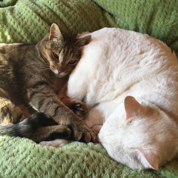 F24955c4 9473 480d a9b8 e52ff7d83d5d