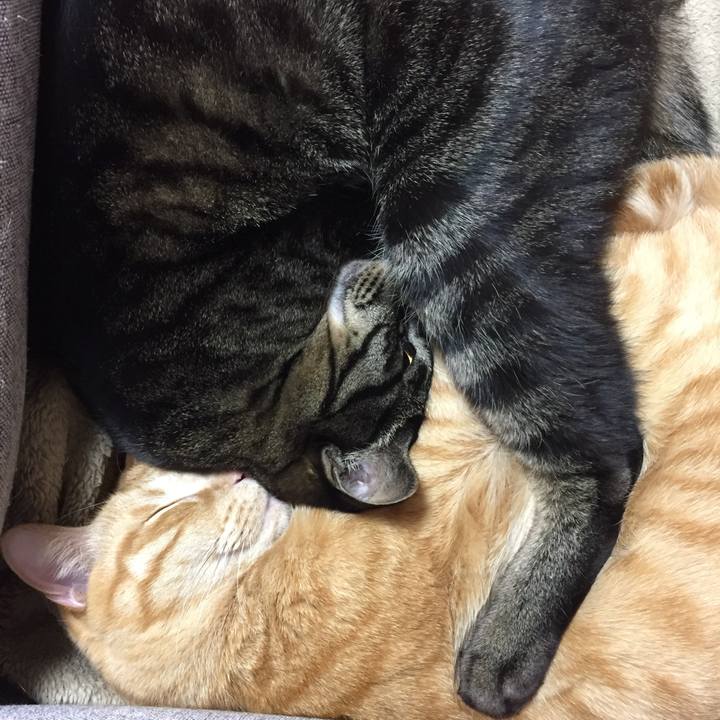 F2495c7b 900d 478f a382 e7497b16d1e1