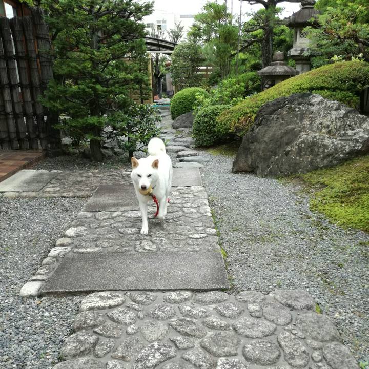 F24a29aa 89c3 4f26 93d3 6044865e185b