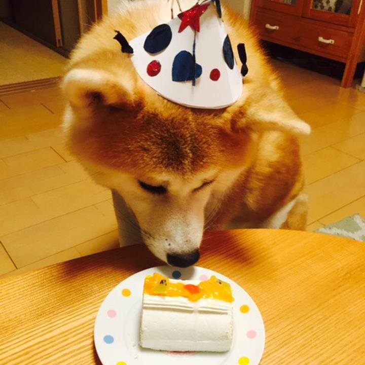 F24a7aa6 eba5 49ea b1fd c701375ae827