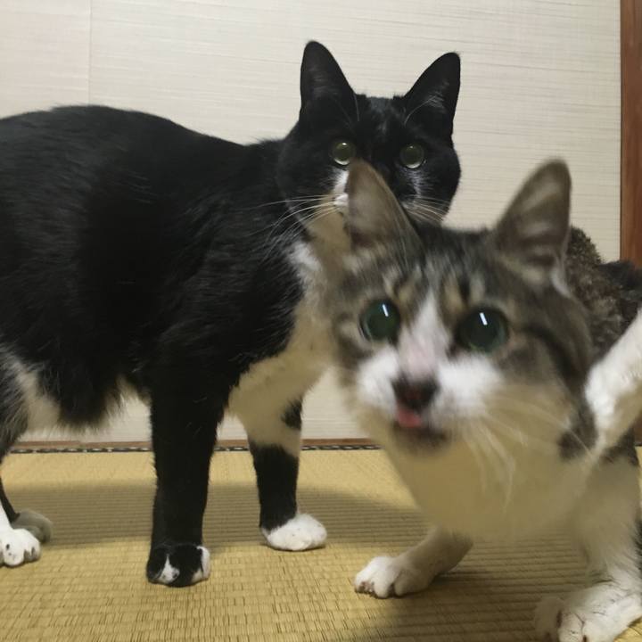 F24a7b5f 6238 4ec6 beb8 ddef944ce885