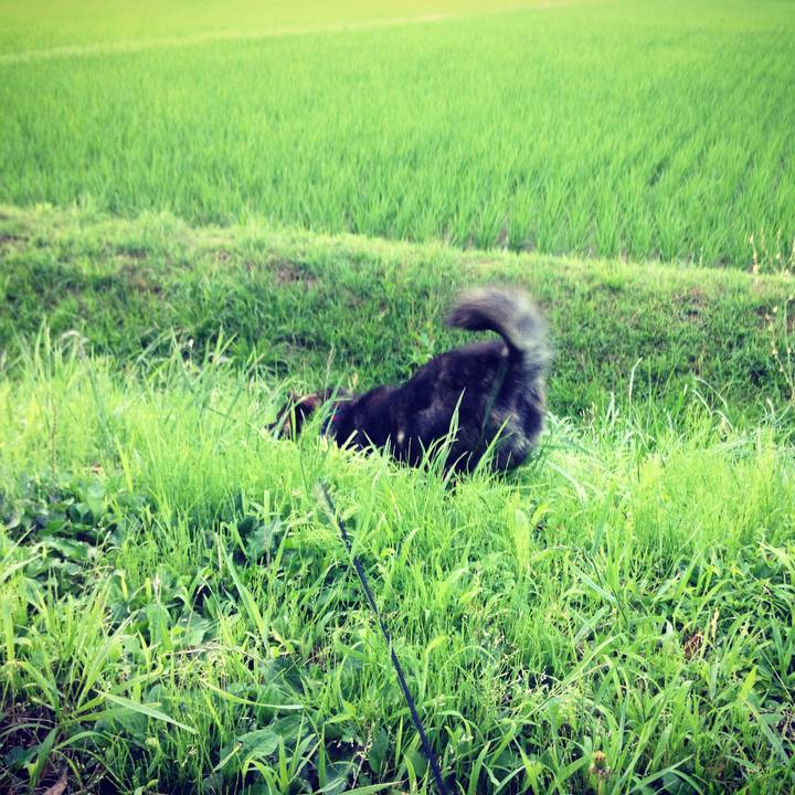 F24aec52 c4a2 4f7c b409 cd645d5de2bf