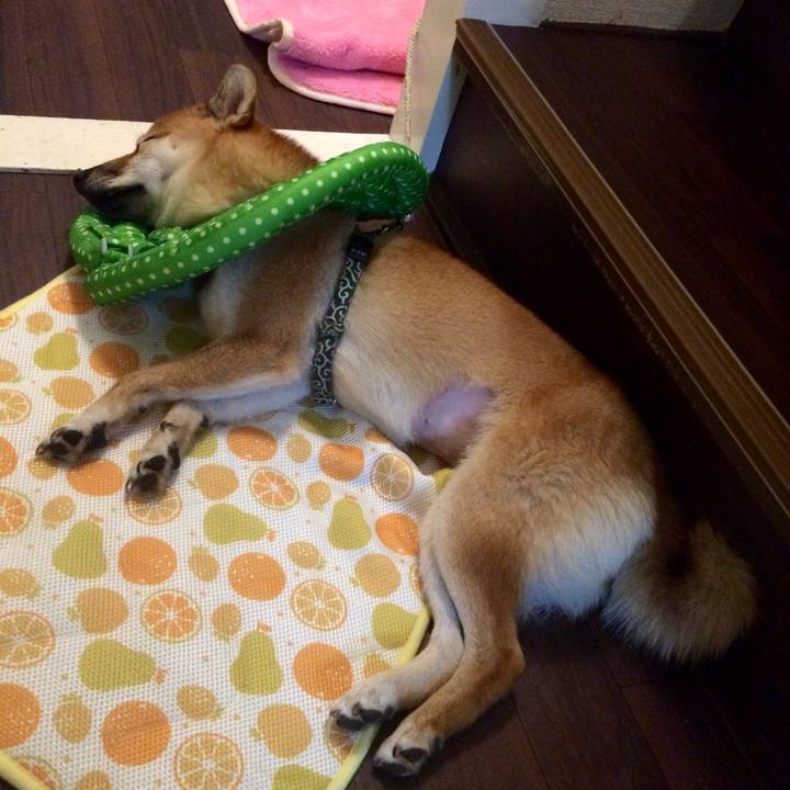 F24b2ce4 d2b9 4d96 b19a 4651c68c7524