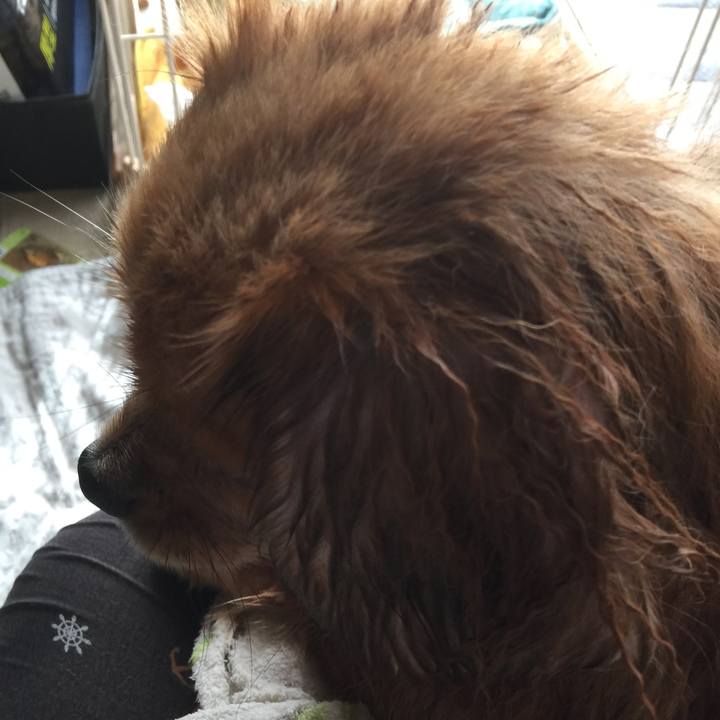 F24b7b25 e938 4504 af33 be3c26b0ac37