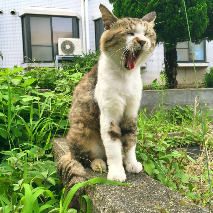 F24b8622 ebd6 484b a572 3814682fb77c