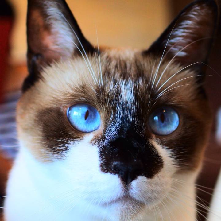 F24b990c a5ad 40d8 a6e1 f60729d58789