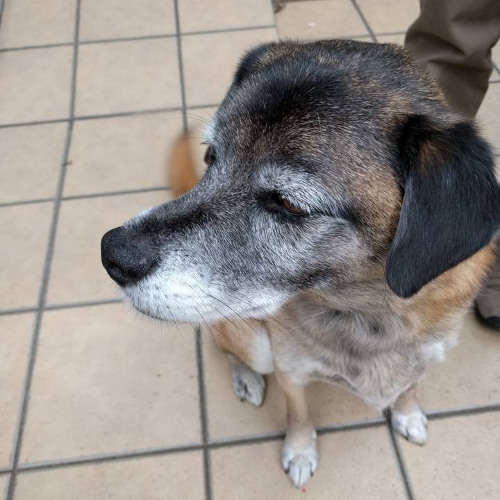 F24be2c6 1615 4684 ac02 8e98744139e2