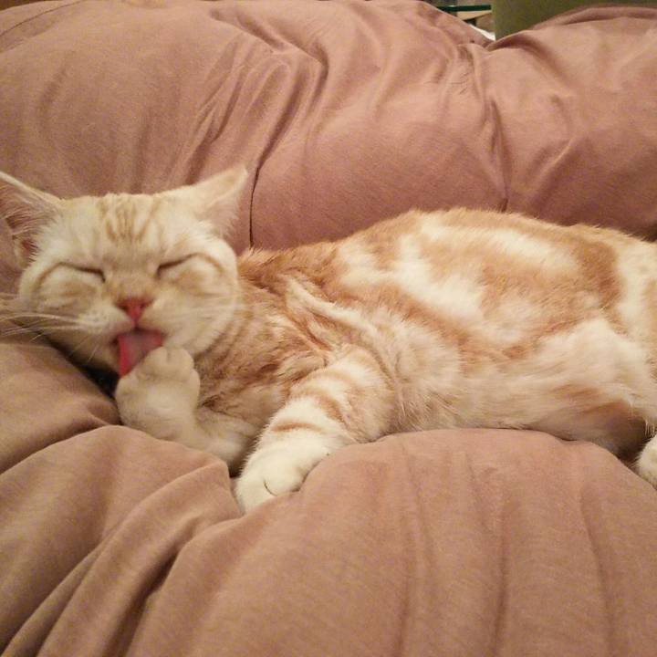 F24c8e8f 8b00 4181 ace8 44a62f22567e