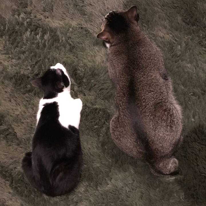 F24cad37 30c9 4e2f 807e c9115b8301f2