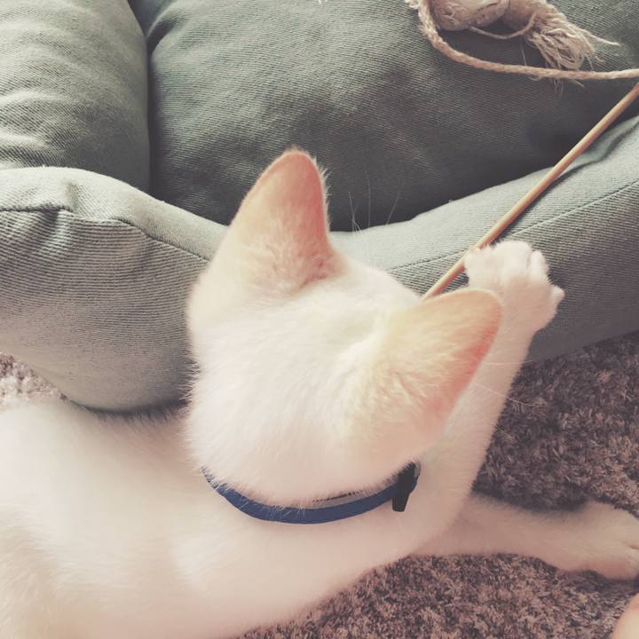 F24d7f08 81b5 41d1 97a7 6c844f044dc1