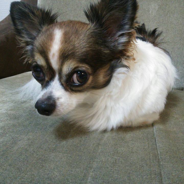 F24e2ec9 b478 4f4a a9bf 92803b8dbe18