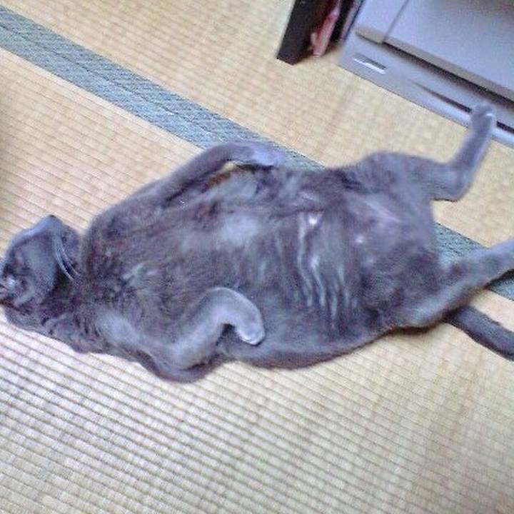 F24e33c3 eaab 470f 8743 5c269183bdf8