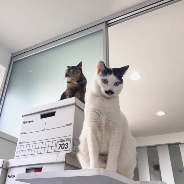 F24e36e1 d79b 4f49 9c46 474450c9740e