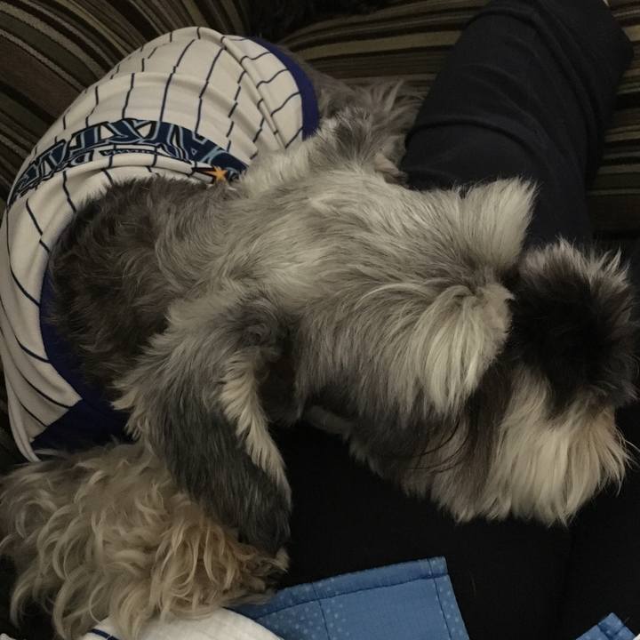 F24e36ee ba0d 4f4a a40a 6fe34c345a14