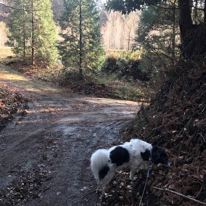 F24e6e1a d52e 4da0 9364 f09284bbf35d