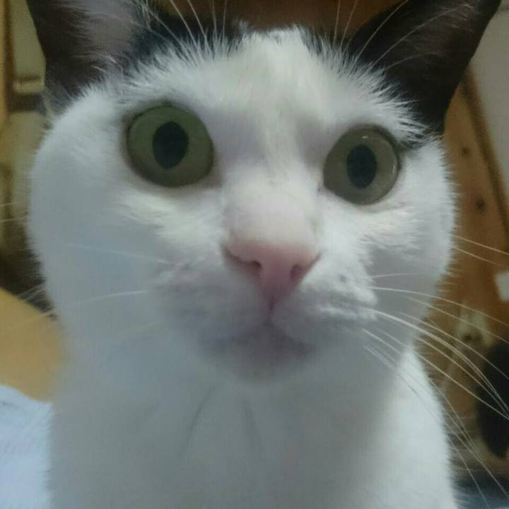 F24e7ed3 ea7d 4f8d ad30 8f332127cd9b