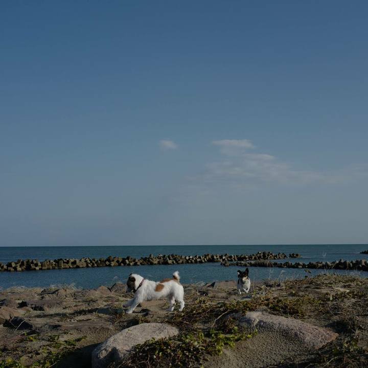 F24eae15 1d65 4ae1 9b8e 82e5b59d75e5