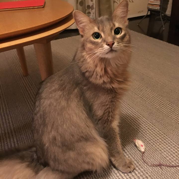 F24f5589 55b0 422a a34d f3b24c036dd8