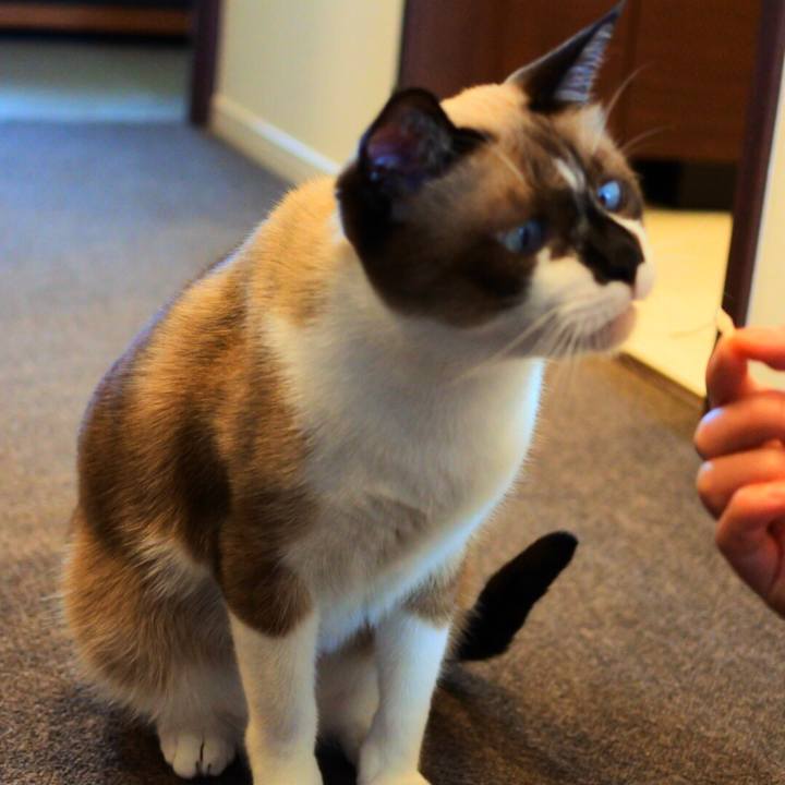 F24f7625 2b9b 45e8 8d55 418d55920254