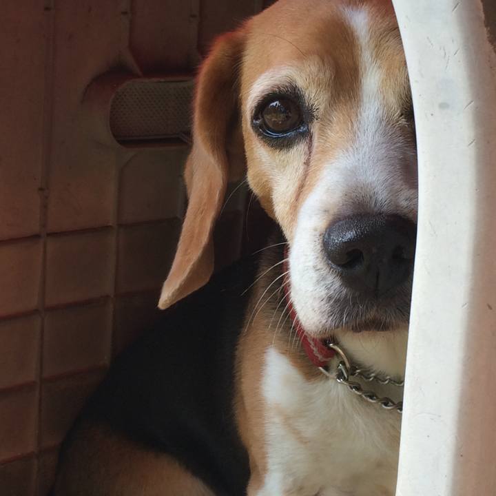 F250ae75 735a 4567 84b4 7f1babe811af