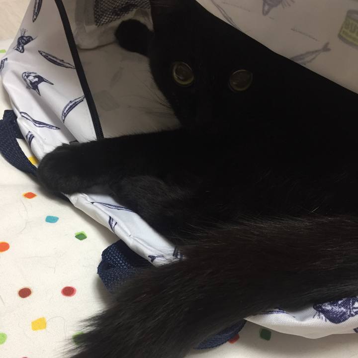 F2513fbb 6c3b 4eef a098 476f9f2ef66a