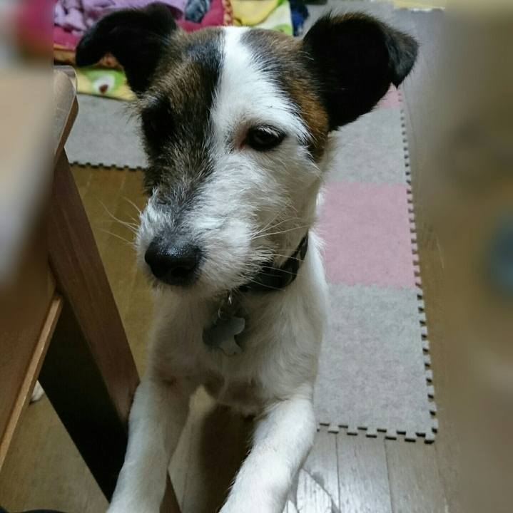 F2523344 c34e 46c4 a68c 05599fc16153