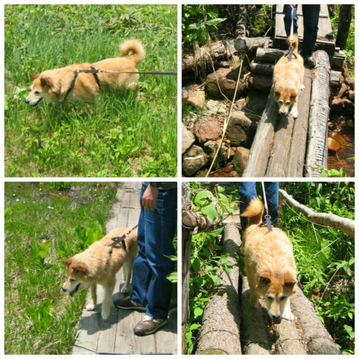 F2528faf 301b 4d27 b6ab 9ffc1399be28