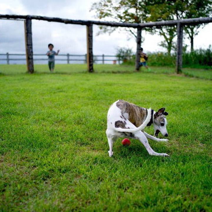 F2534e00 9ef9 40e4 b5f9 c58580bf56dc