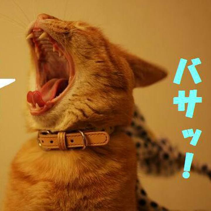 F253a54b d70e 4285 9a93 79be26bf5aa4