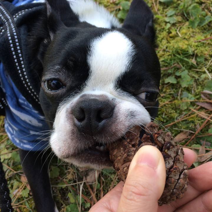 F253f22d d926 495f 90df 48a3bb03d2fc