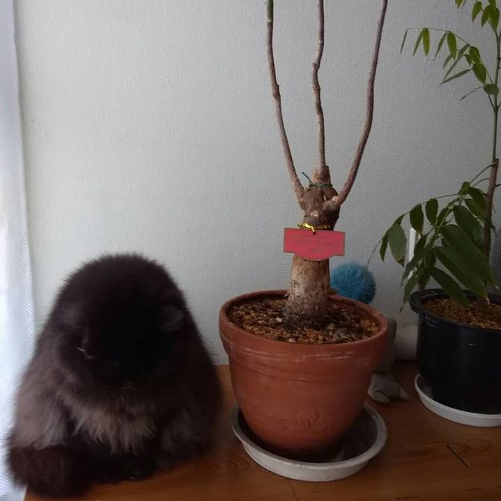 F253f9ed 4de1 40a4 be99 55d8c677a7f8