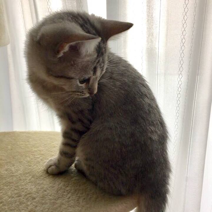 F25413d5 083b 4803 8360 4a4c59b8d6bb