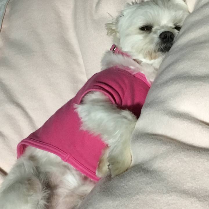 F25447e0 0de2 4be9 8b02 a8f8389f53e5