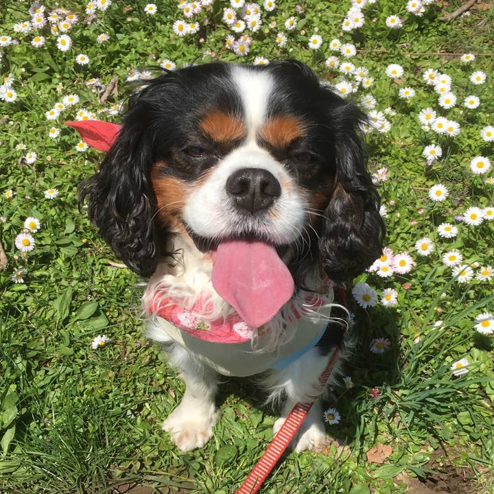 F2548549 8bdd 4419 b073 7fef6c71c912