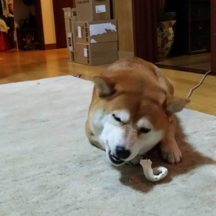 F2549d60 0bbd 4a60 8715 df32eb2de131